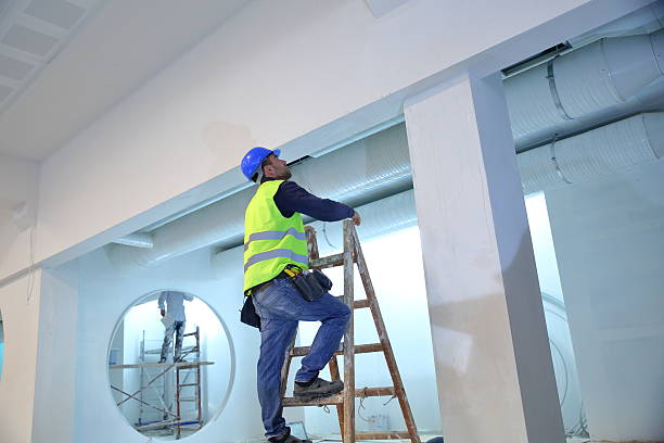 Mold Odor Removal Services in Manor, PA