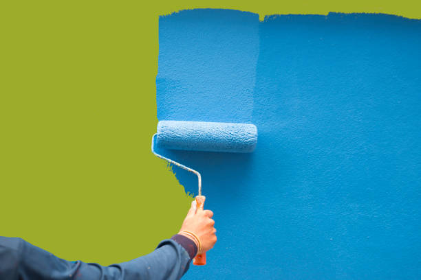 Best Basement Mold Removal  in Manor, PA